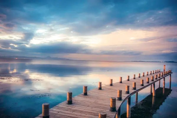 知更鸟全书解读